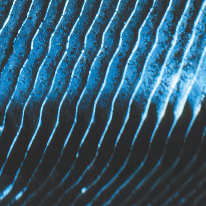 Recomendaciones Septiembre